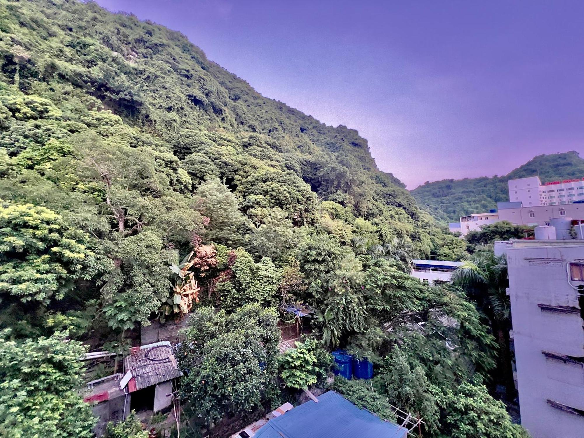 Manh Vuong Hotel Catba Dong Khe Sau المظهر الخارجي الصورة
